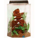 Hexagon Aquarium Fish Tank